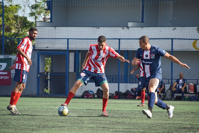 滑翔伞运动 滑翔伞运动