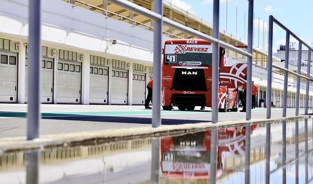 不缺乏类似 不缺乏类似