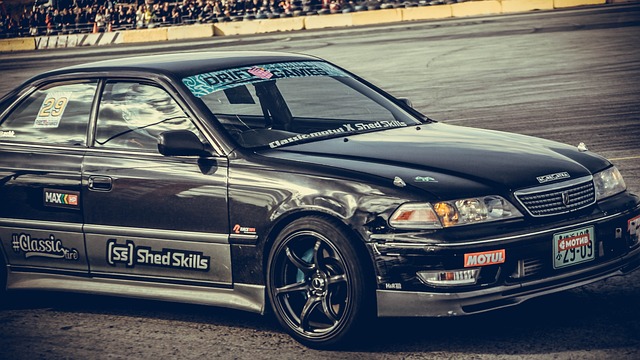 支持者的感 支持者的感