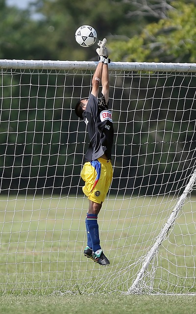 其能力高度 其能力高度