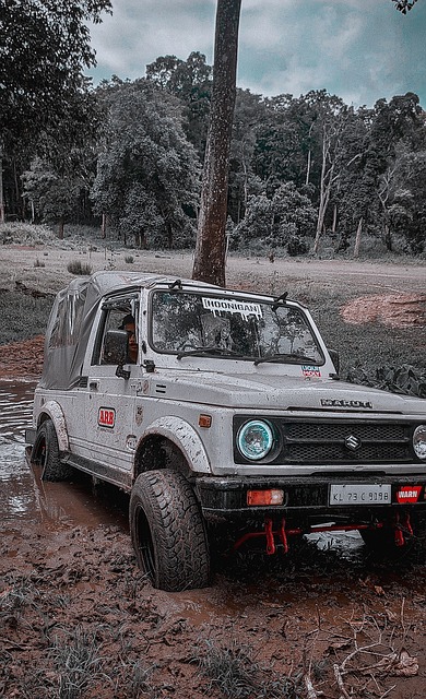 实力提升变 实力提升变