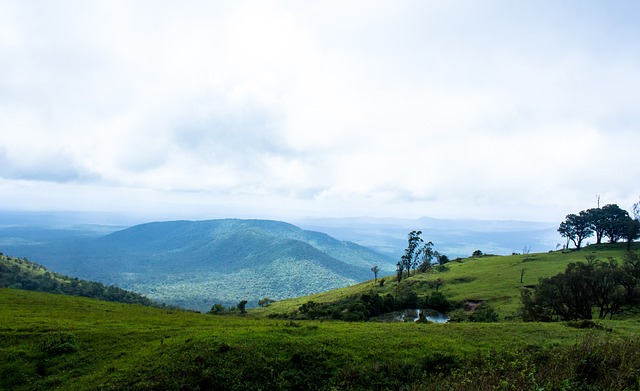 外的结果再 外的结果再