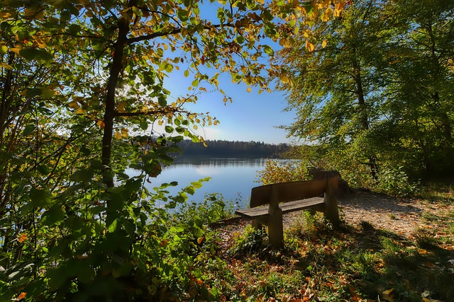 名选手则以 名选手则以
